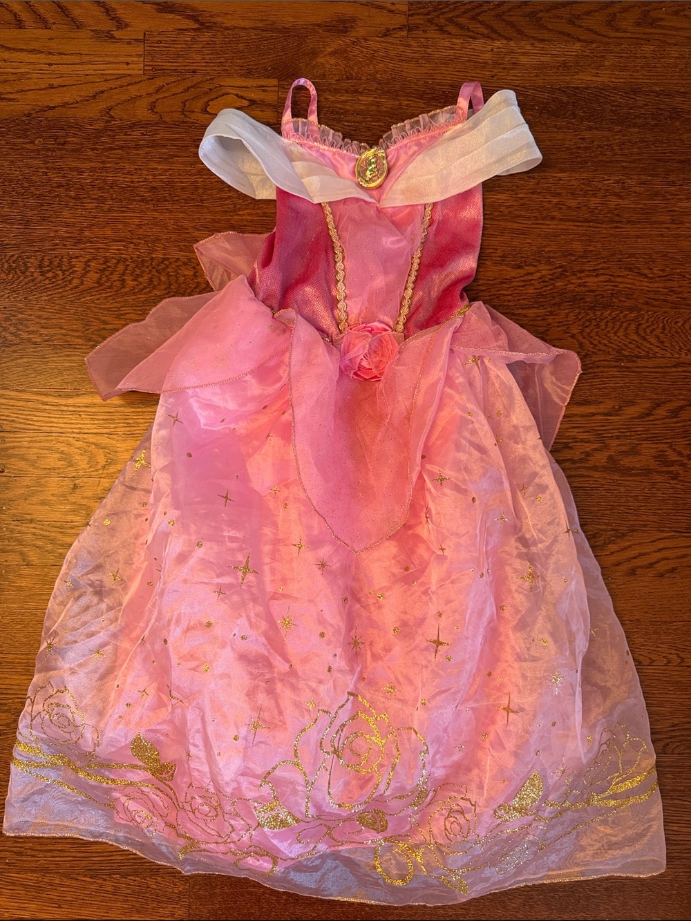 Disney Store Princess Aurora costume dress